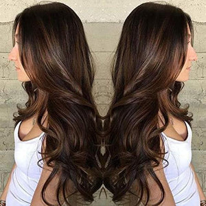 Long Natural Wave Brown Wigs Heat Resistant Wigs for Women